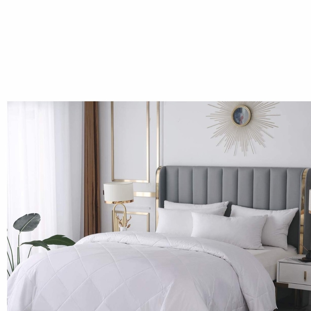 HOST PIC NEW C’EST STUNNIE QUEEN SILK DUVET❤️❤️❤️
